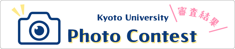 第4回 Kyoto University Photo Contest 審査結果